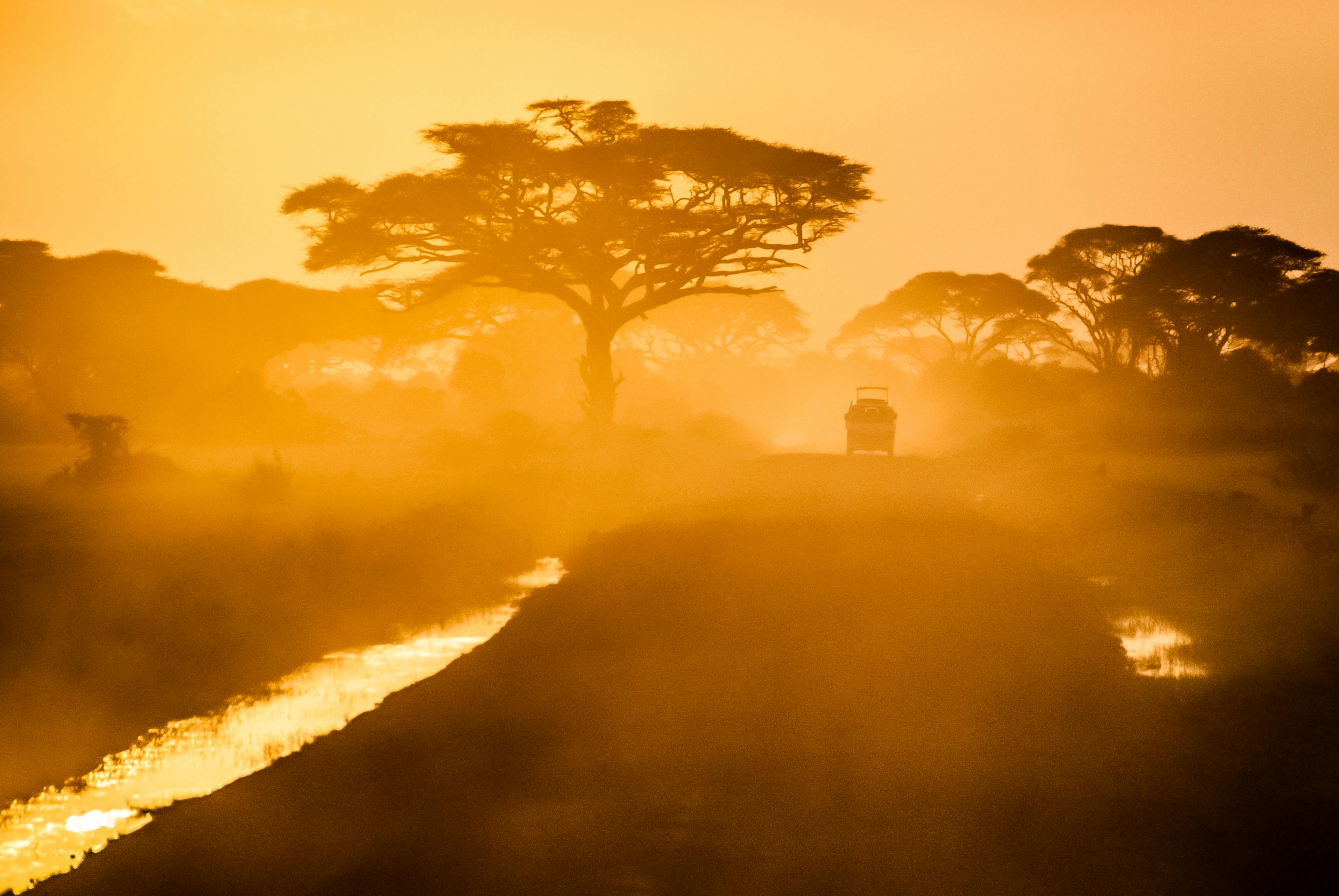Join Africa Safari Game Drive Sun