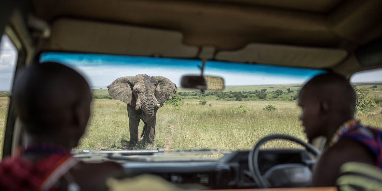 Safari landscape