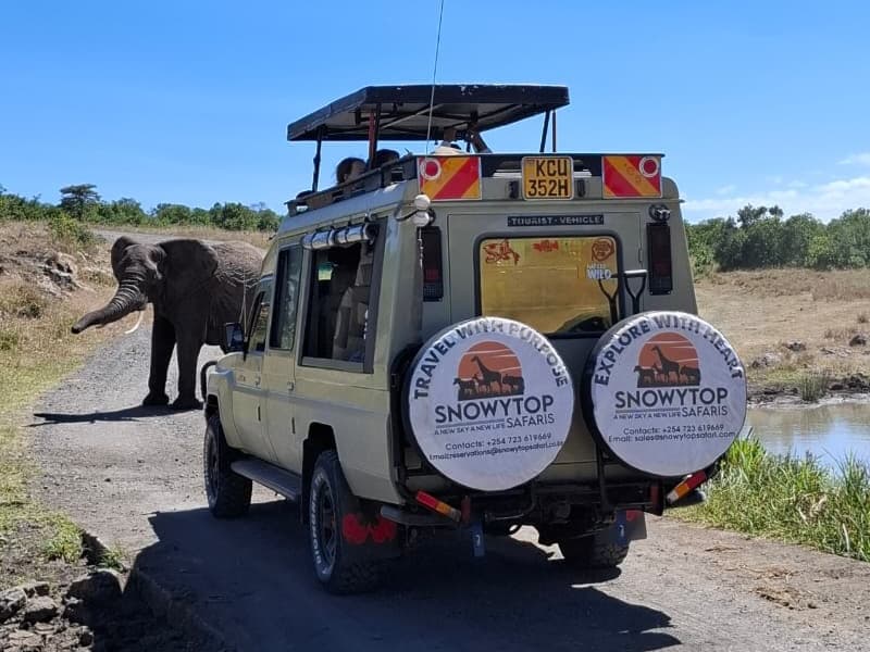 About Snowytop Safaris
