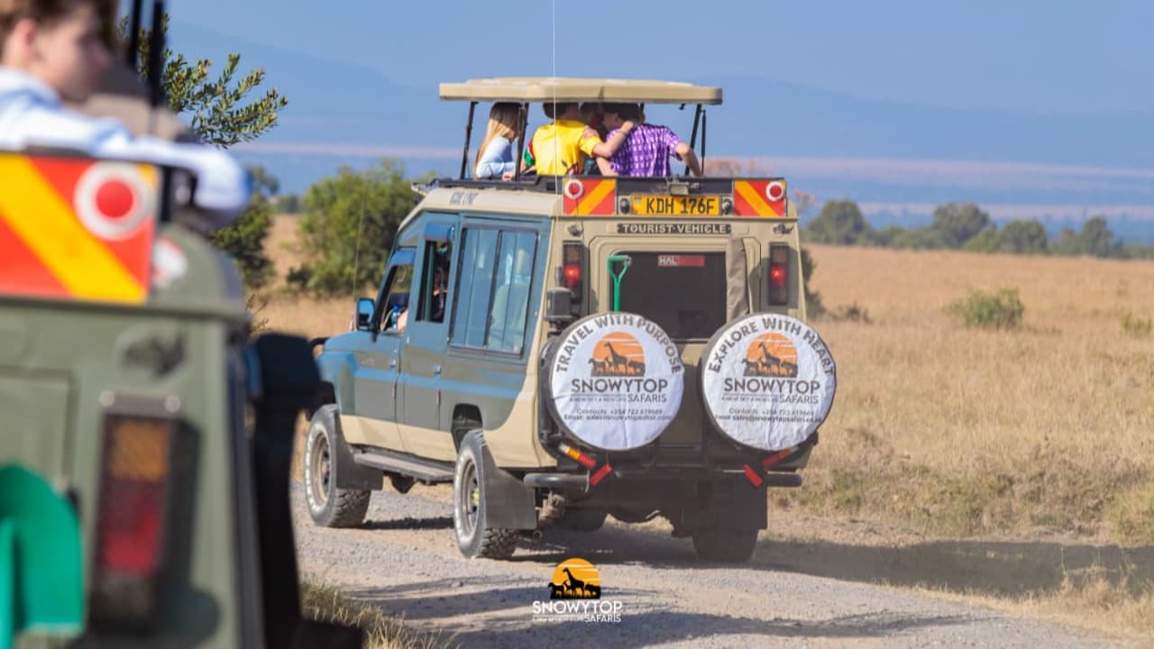 Snowytop Safaris
