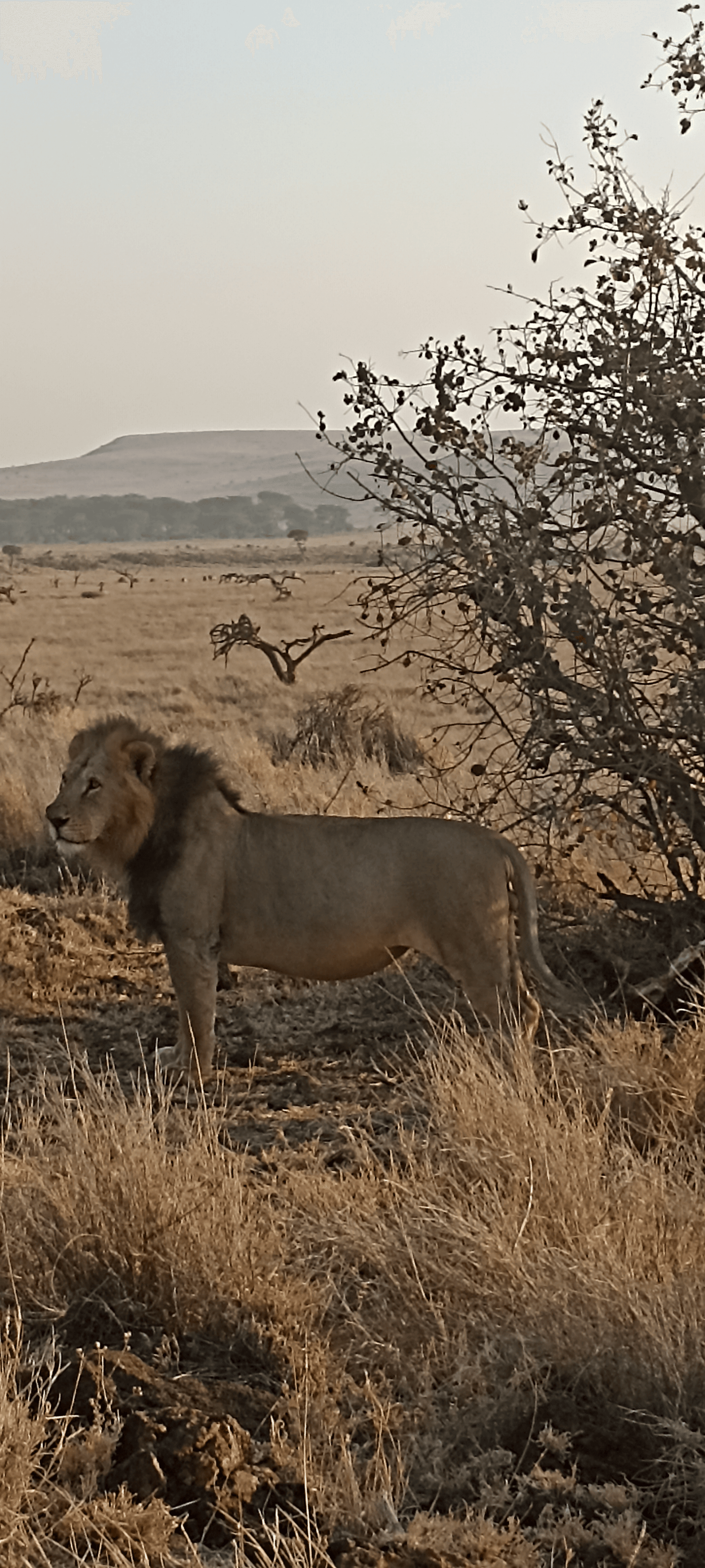 Joseph Karisa's story on Join Africa