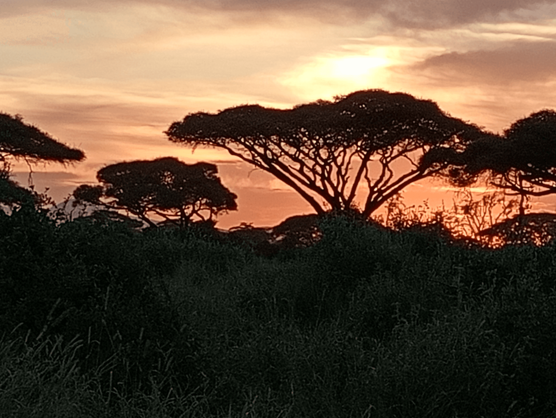 Beautiful sunset – by Habil Nyangweso