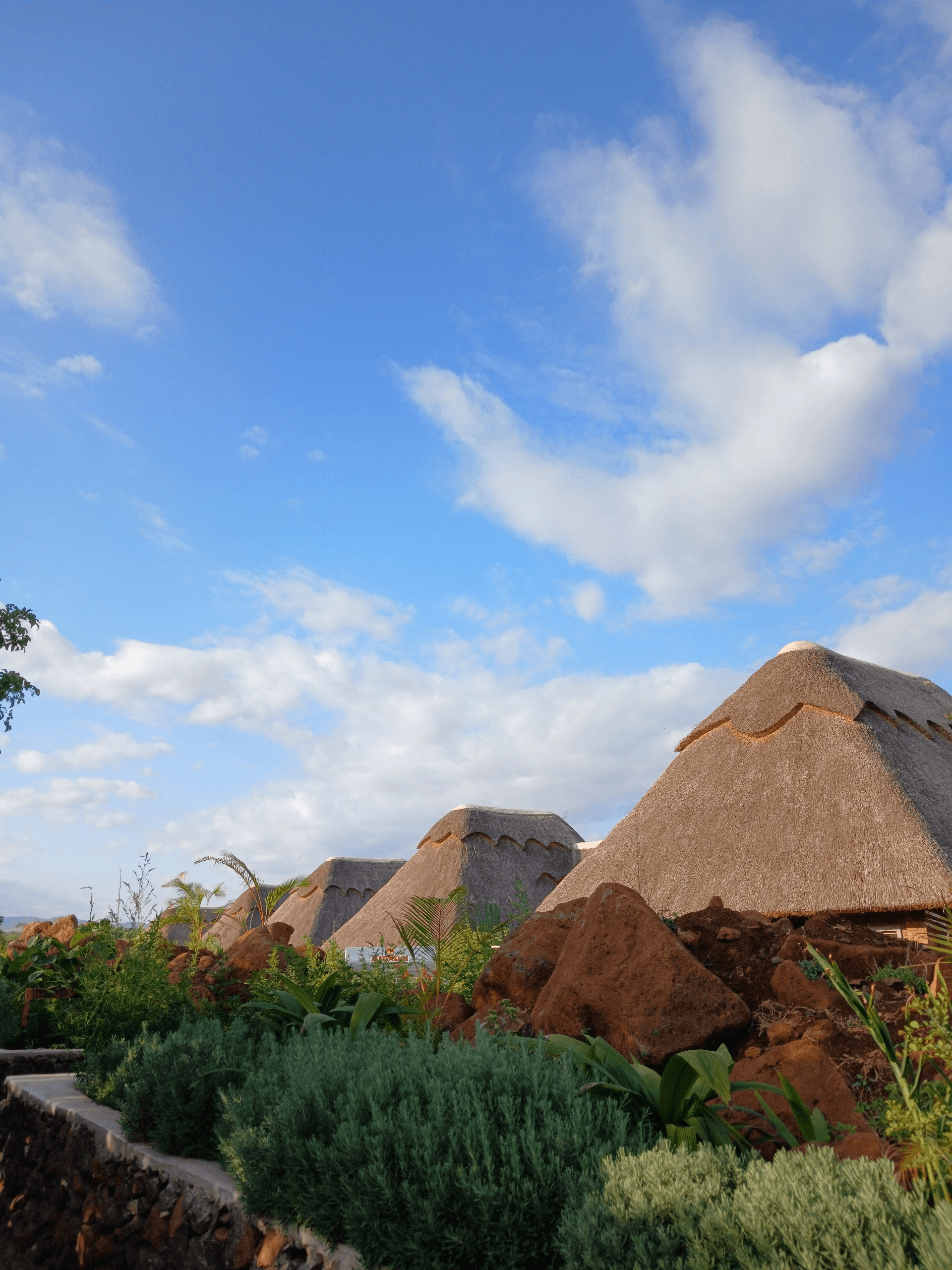 From luxury lodges to endless wild horizons 🌿🦁
Tanzania, you’ve stolen my heart.
#TanzaniaTravel #SafariVibes #LuxuryStay #NatureLovers #AfricanSafari – by Stephen Maina