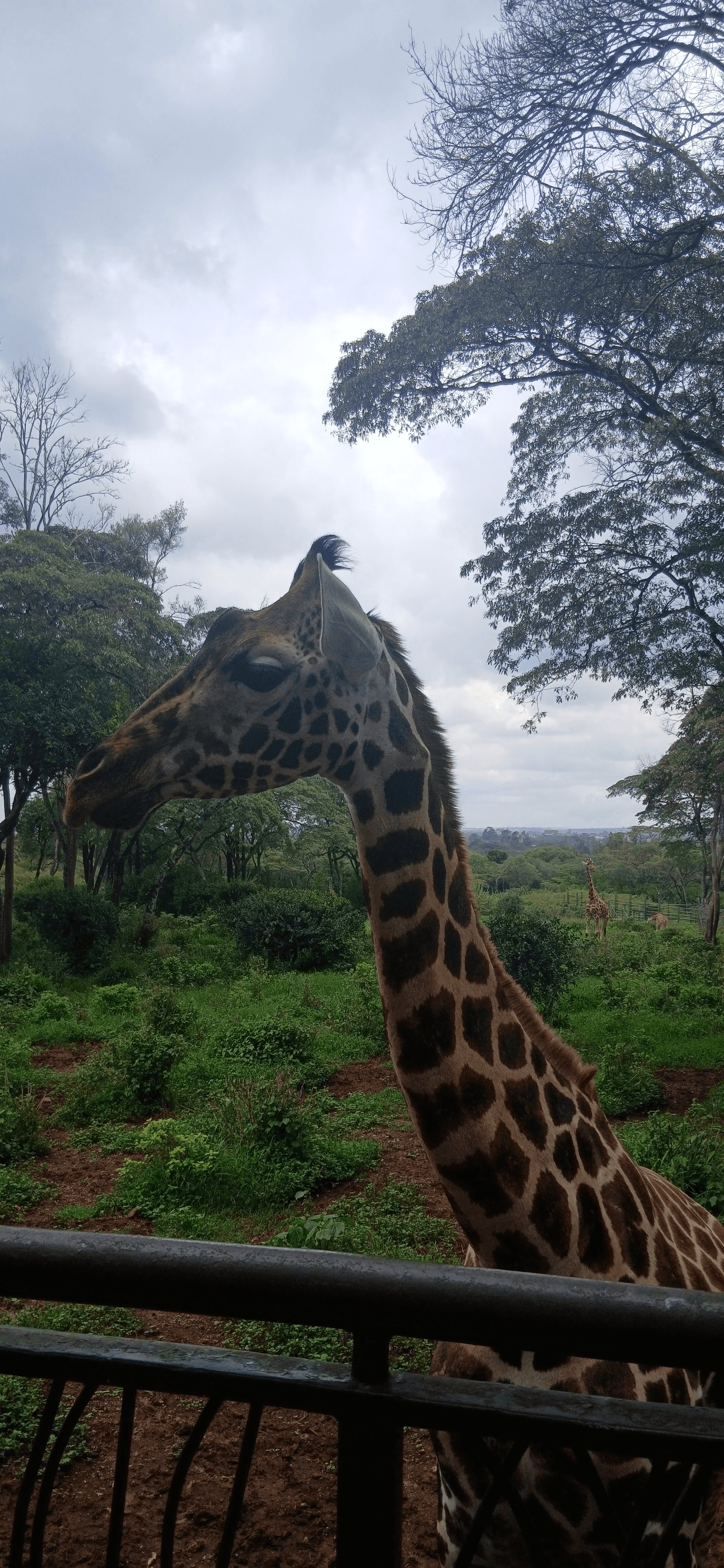 #Nairobi – by Christine Columbus
