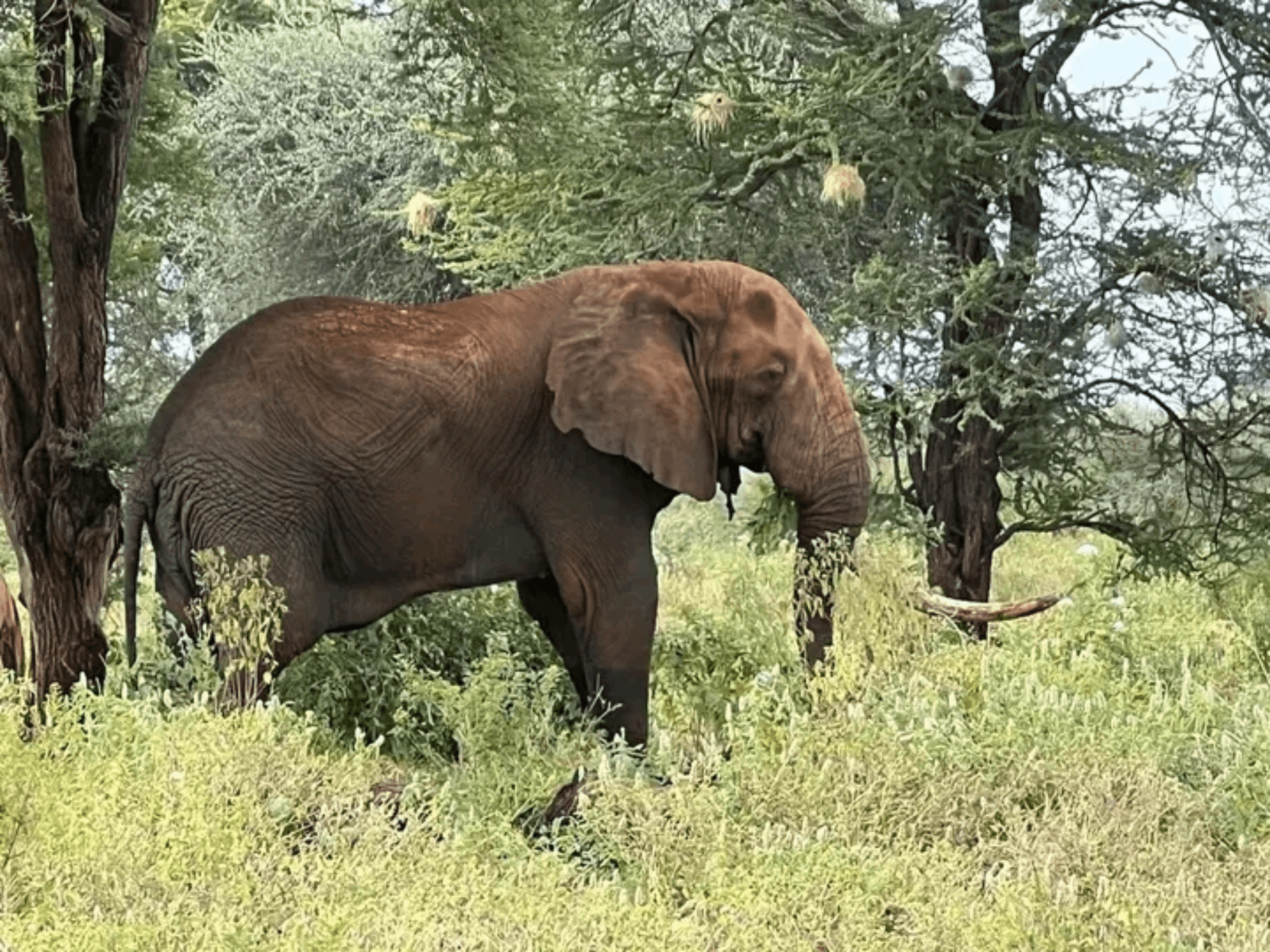 #meru park – by Brian Muli