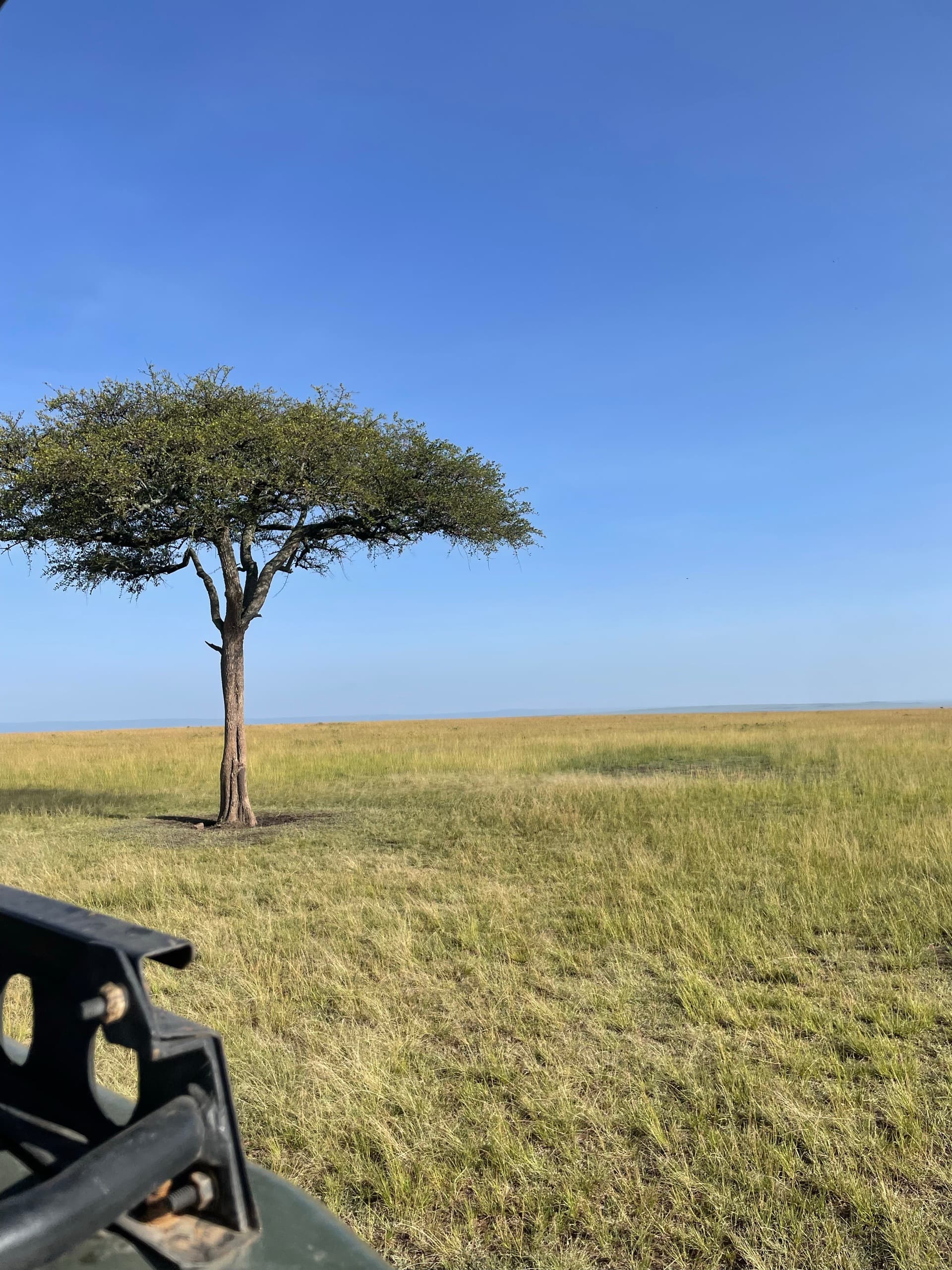 No man’s land – by Fridah Nyambura