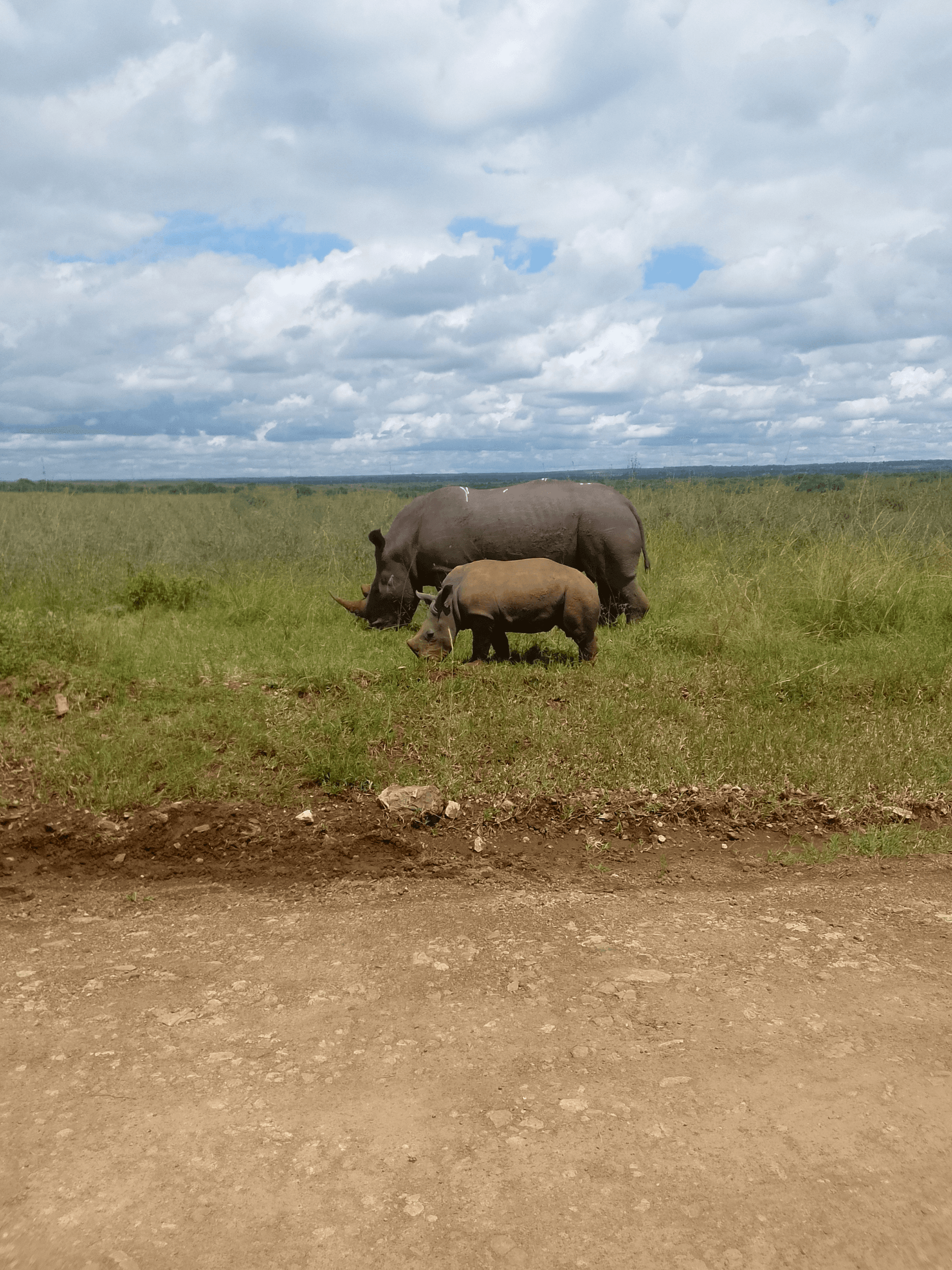 Solomon Munyoki's story on Join Africa