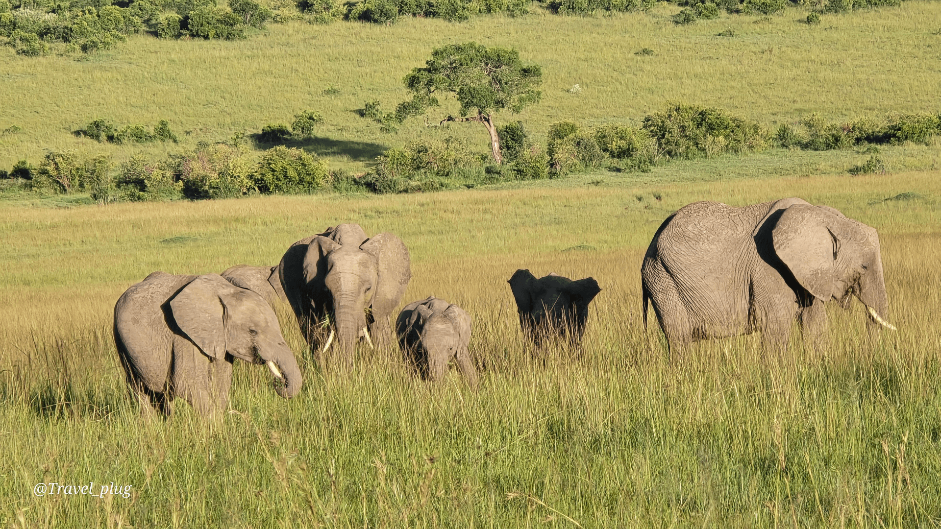 George kamau's story on Join Africa