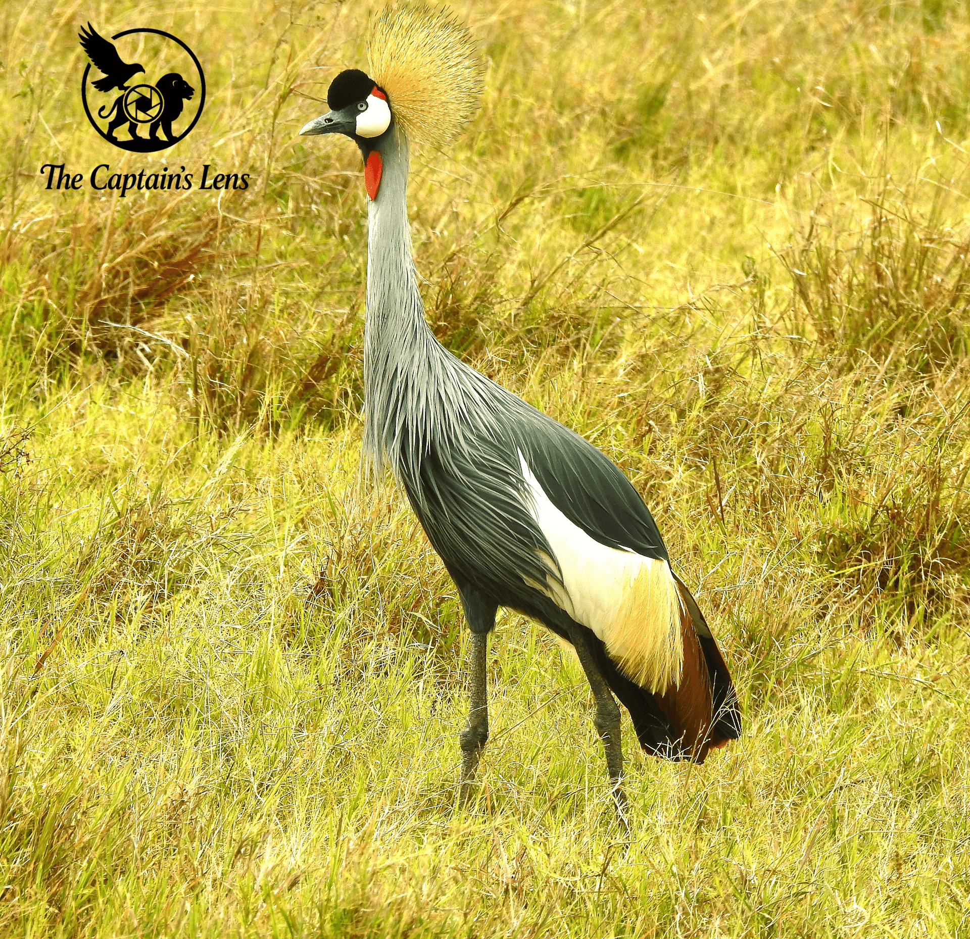 Baraka Captain Nyale's story on Join Africa