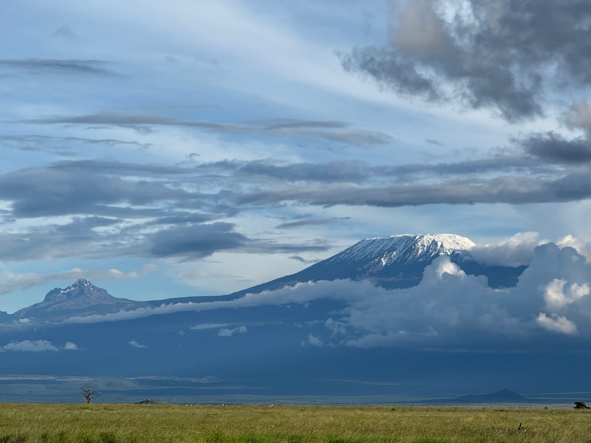 Morning greetings from Amboseli with a clear view of Mt Kilimanjaro – by Ann Tumpesia