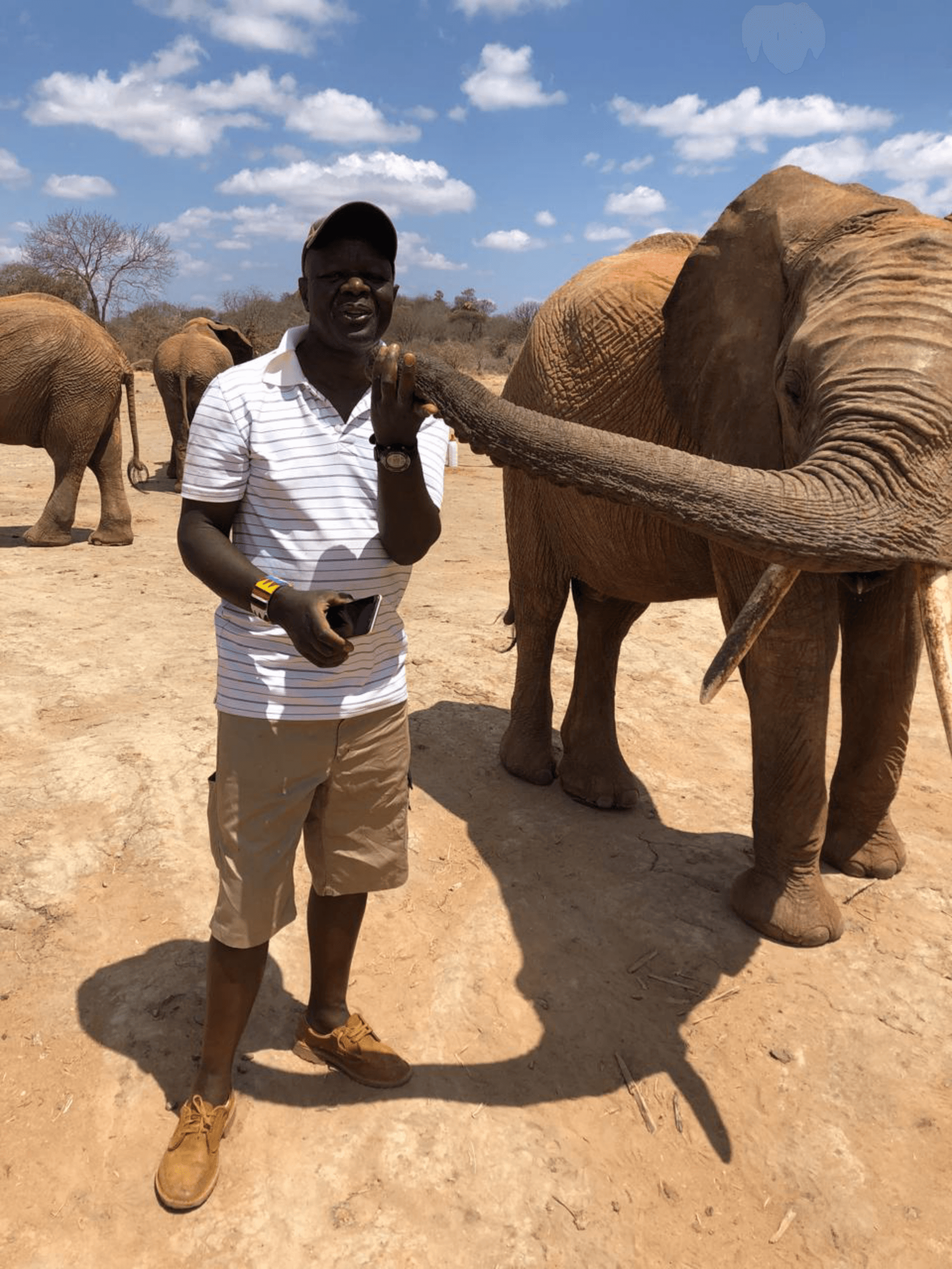 Tame yet living in the wild-the friendly giants at Ithumba – by John Adamba