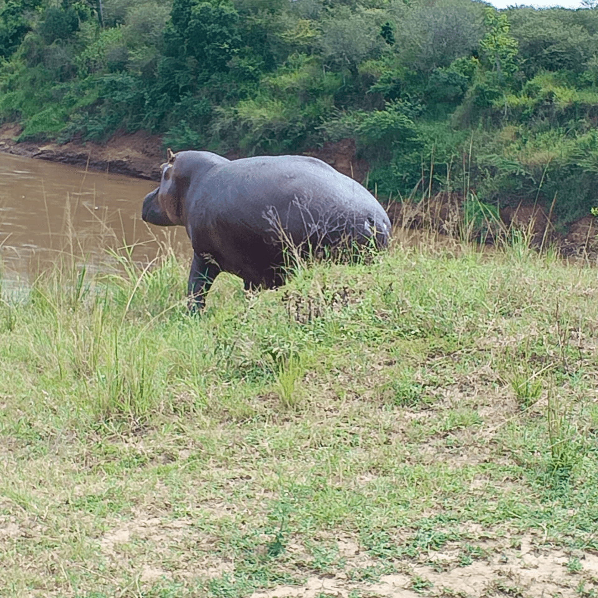 John Gikonyo's story on Join Africa