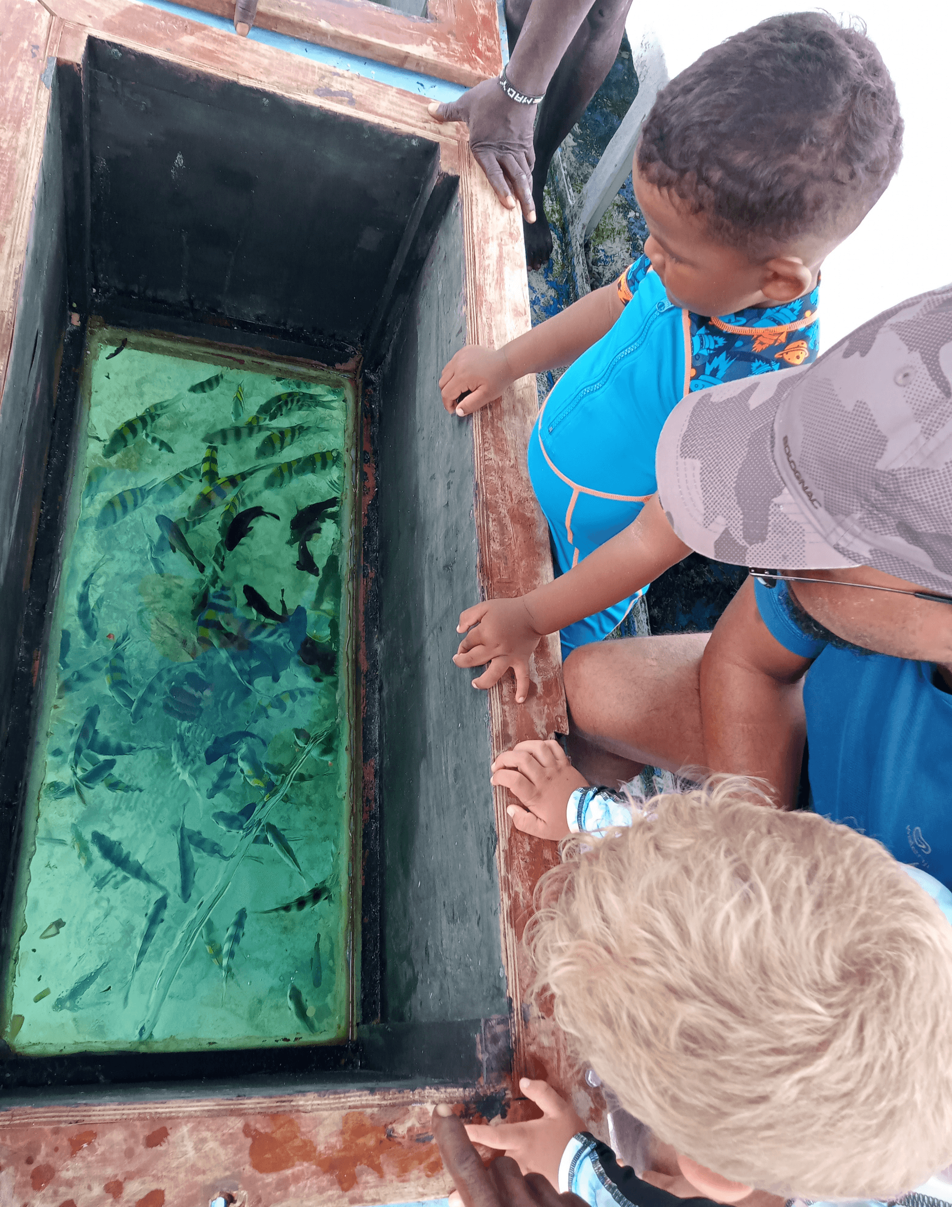 Glassboat adventures in diani beach – by Stacey Bisley