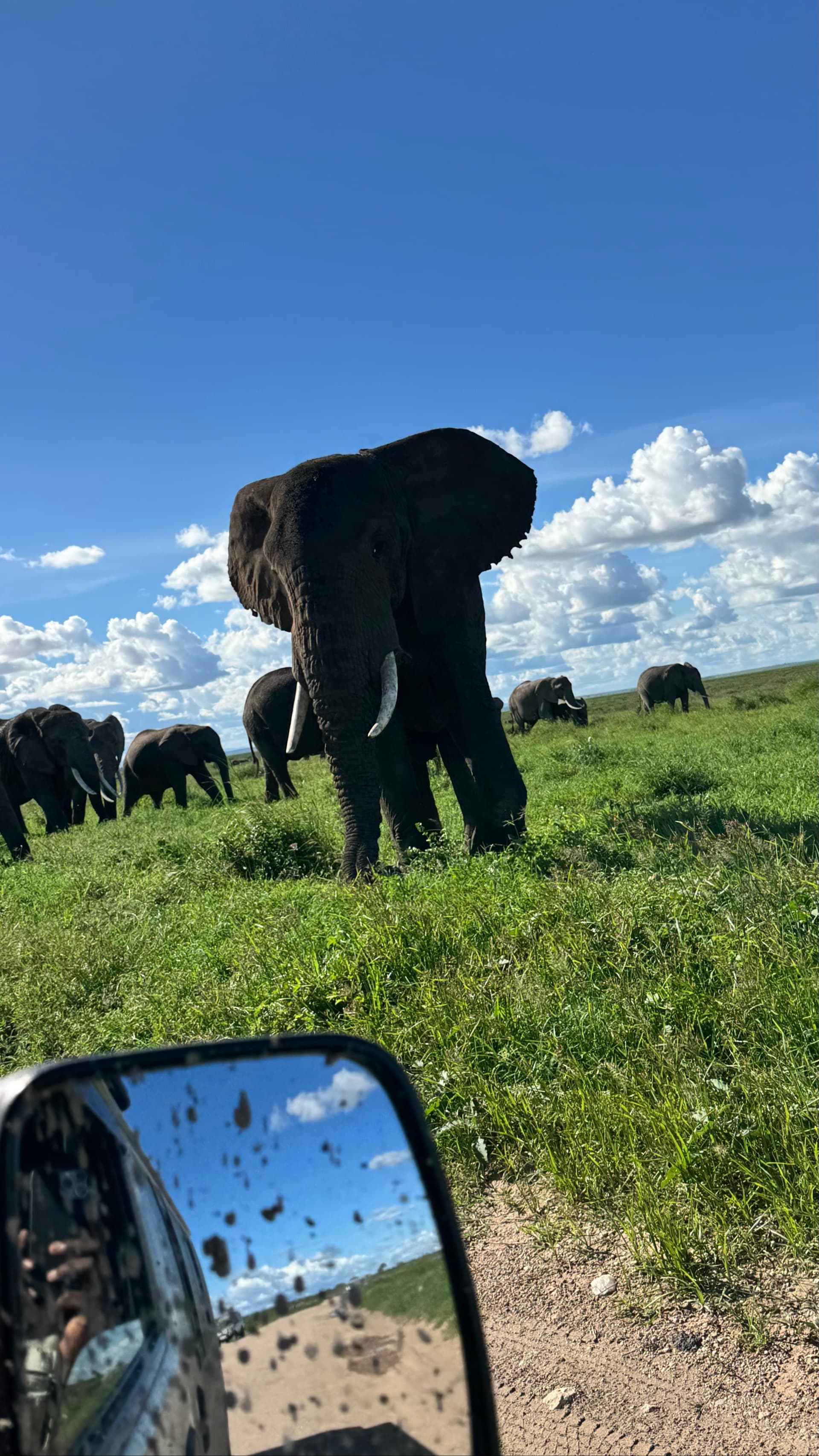 Heading to the foot of the mountain – by Francis Githua