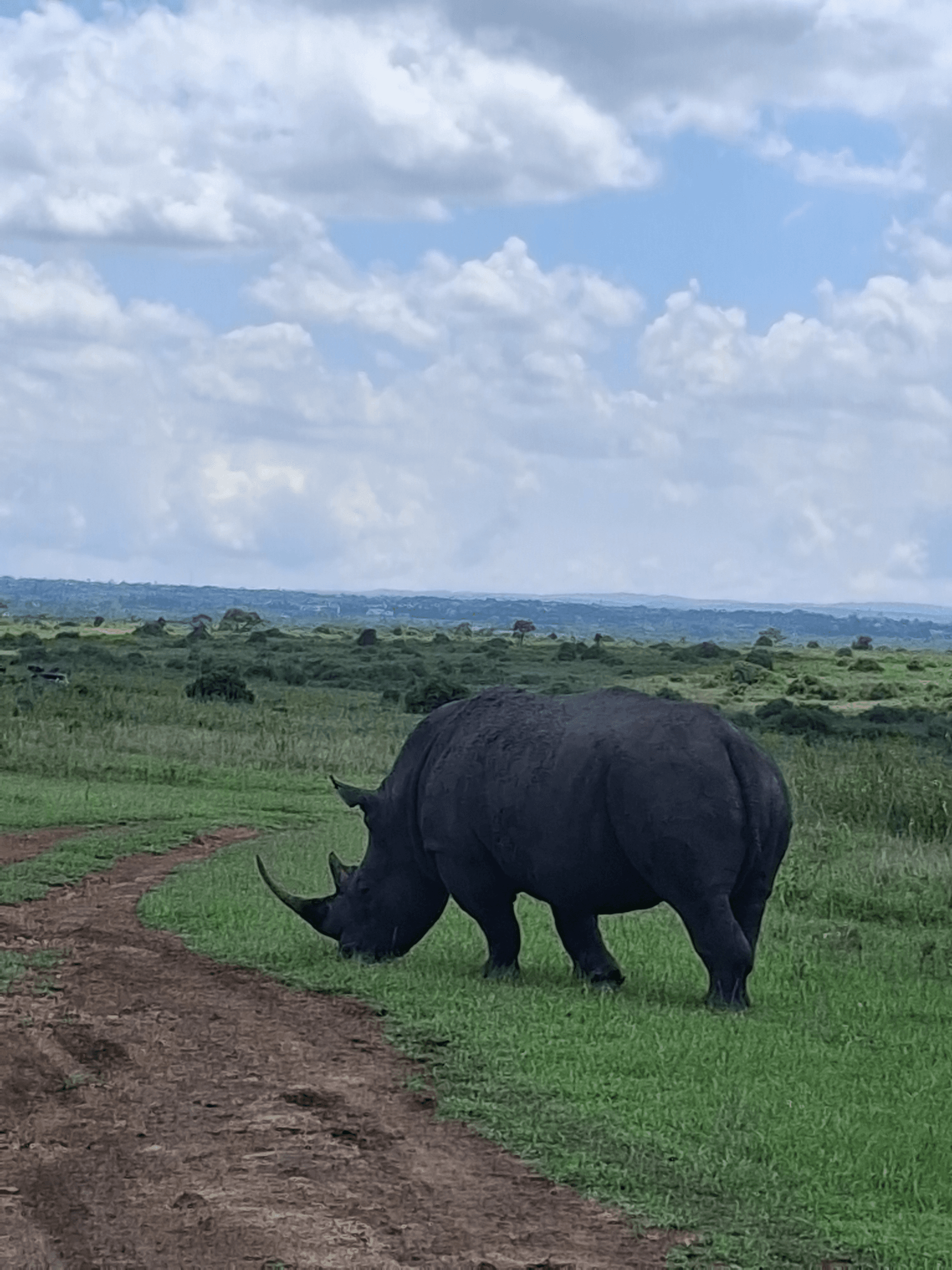 Evans Mudhune's story on Join Africa