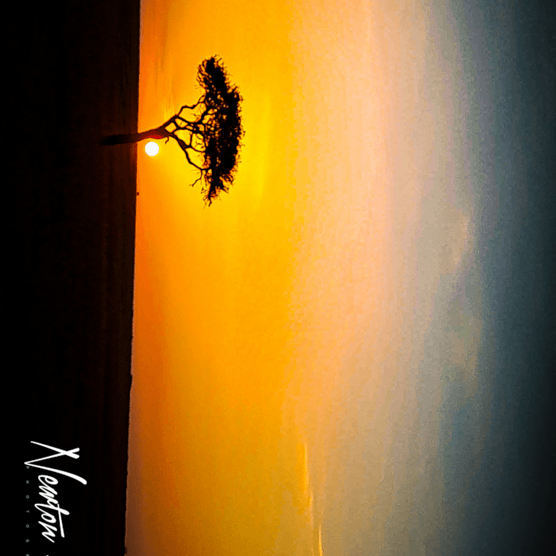 Wonderful sunset in the beautiful savannah – by Newton Kongo