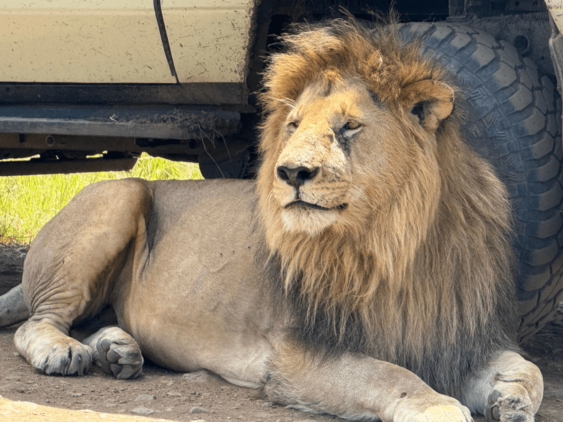 Martin Kioko's story on Join Africa