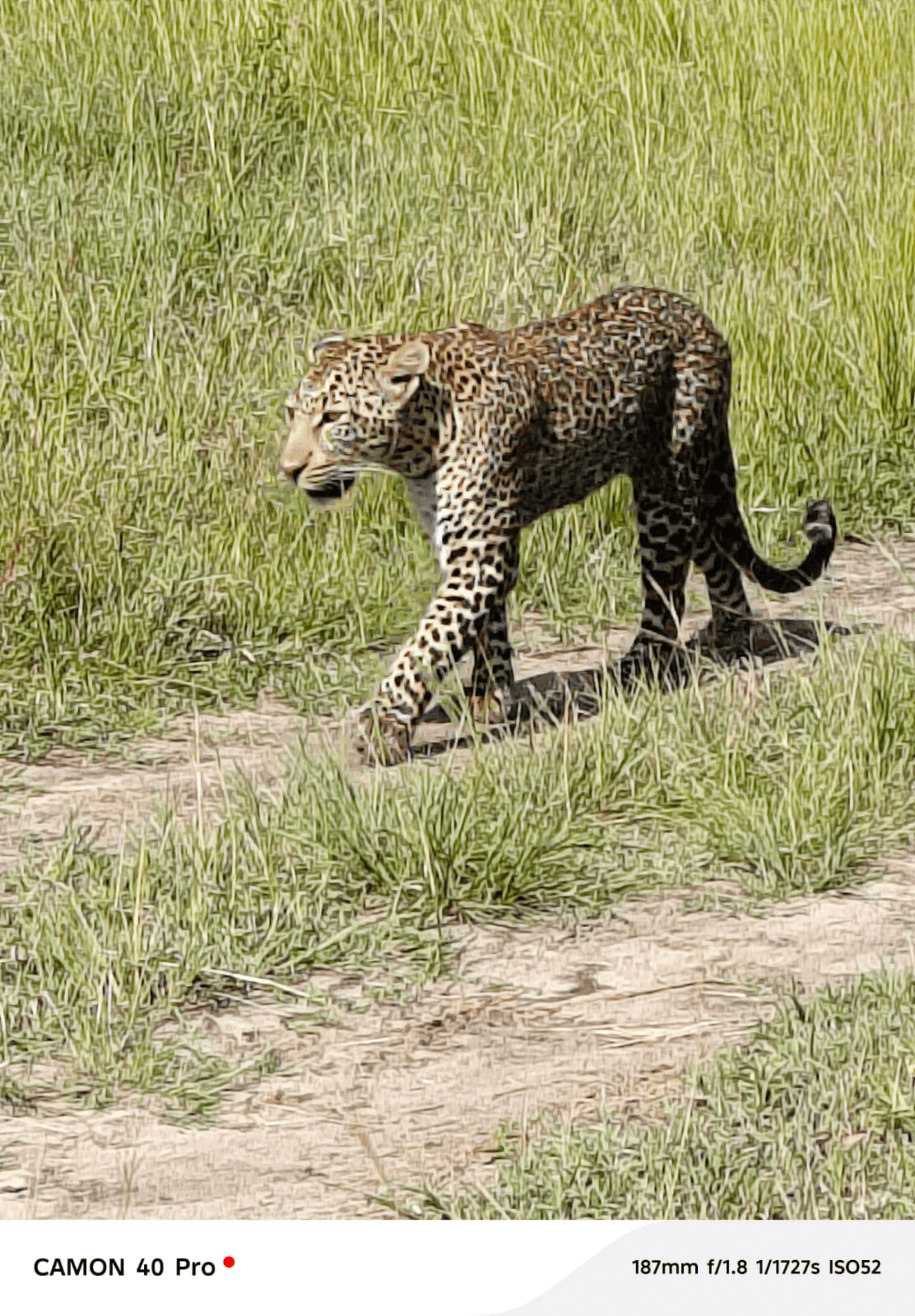 Martin Kioko's story on Join Africa