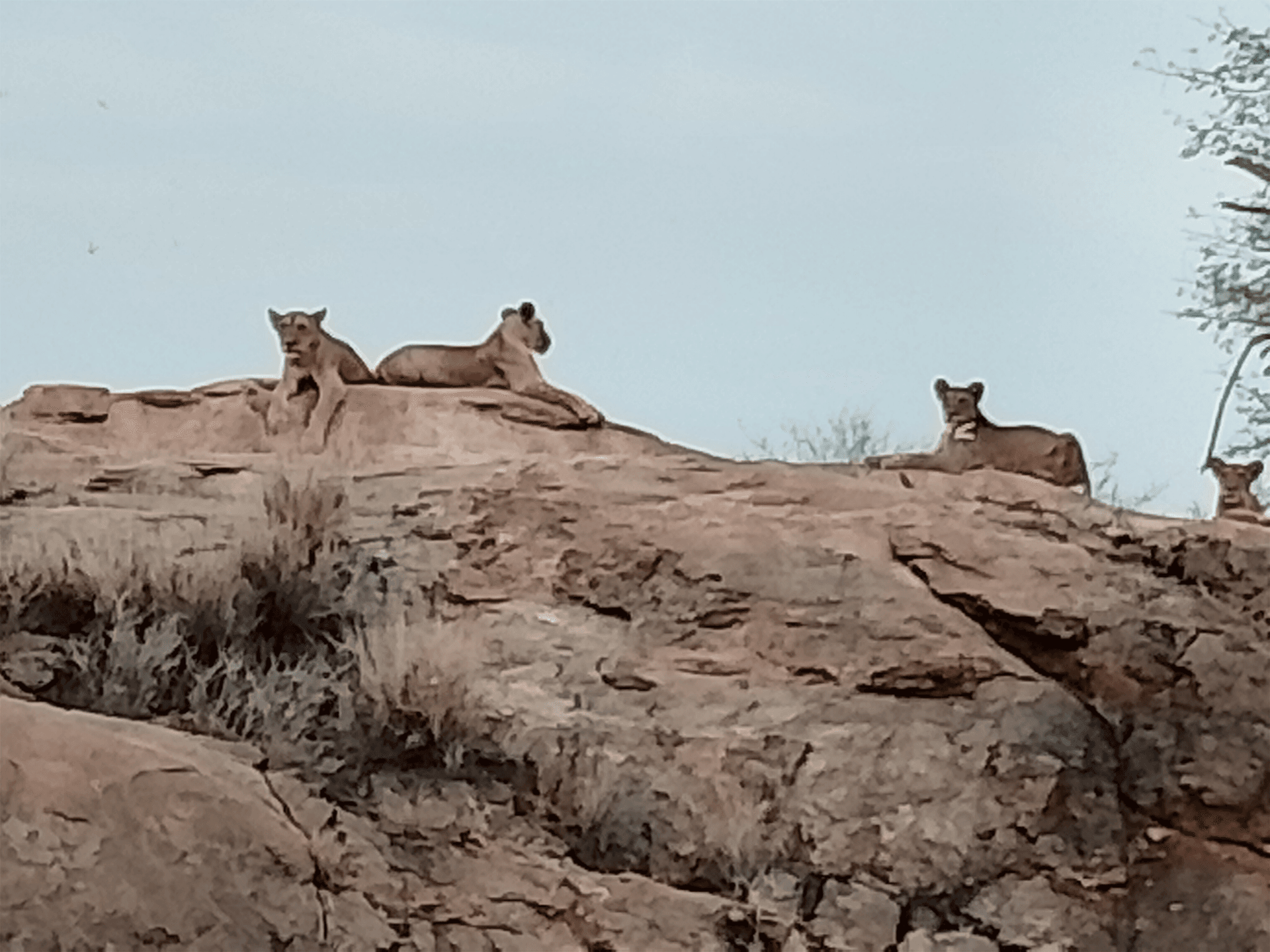 Andrea Lekutas's story on Join Africa